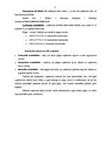 Prakses atskaite 'Prakses atskaite grāmatvedībā', 17.