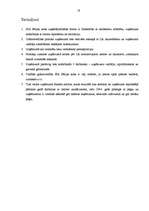 Prakses atskaite 'Prakses atskaite grāmatvedībā', 18.