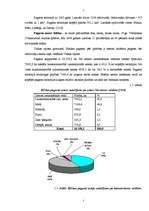 Referāts 'Bilskas pagasta finansiālo problēmu risināšanas virzieni', 5.