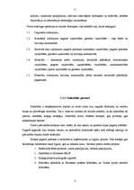 Referāts 'Bilskas pagasta finansiālo problēmu risināšanas virzieni', 11.