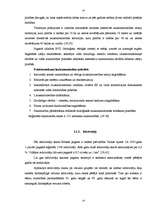 Referāts 'Bilskas pagasta finansiālo problēmu risināšanas virzieni', 14.