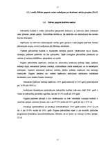 Referāts 'Bilskas pagasta finansiālo problēmu risināšanas virzieni', 17.