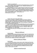 Referāts 'Latvijas pilis', 8.