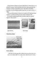 Referāts 'Koksnes materiālu piegriešana', 7.