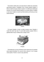 Referāts 'Koksnes materiālu piegriešana', 10.