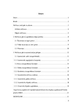 Referāts 'Preču pārvietošanas iespējas atšķirīgās noliktavās', 2.