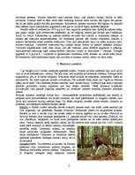 Referāts 'Pirmatnējās mākslas un monumentālās arhitektūras raksturojums, nozīme kultūras a', 6.