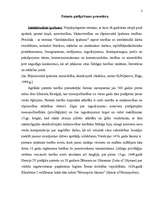 Referāts 'Patenta piešķiršanas procedūra', 2.