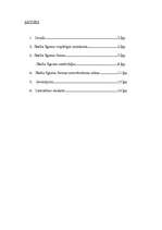 Referāts 'Darba līguma forma', 1.