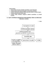 Referāts 'Sporta skolotāja kvalifikācijas darbs', 8.