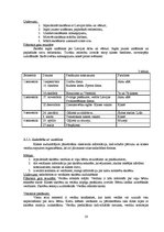 Referāts 'Sporta skolotāja kvalifikācijas darbs', 14.