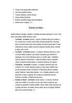 Referāts 'Konflikti', 2.