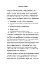 Referāts 'Konflikti', 5.