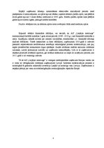 Referāts 'Risku vadīšanas procesa novērtējums AS "Liepājas metalurgs"', 6.