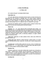 Referāts 'Risku vadīšanas procesa novērtējums AS "Liepājas metalurgs"', 7.