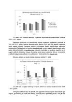Referāts 'Risku vadīšanas procesa novērtējums AS "Liepājas metalurgs"', 12.