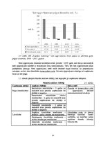 Referāts 'Risku vadīšanas procesa novērtējums AS "Liepājas metalurgs"', 14.