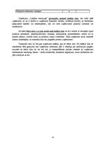 Referāts 'Risku vadīšanas procesa novērtējums AS "Liepājas metalurgs"', 24.