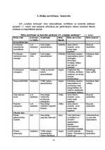 Referāts 'Risku vadīšanas procesa novērtējums AS "Liepājas metalurgs"', 25.