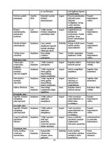 Referāts 'Risku vadīšanas procesa novērtējums AS "Liepājas metalurgs"', 26.