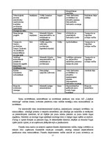 Referāts 'Risku vadīšanas procesa novērtējums AS "Liepājas metalurgs"', 27.