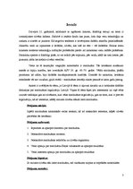 Referāts 'Marihuāna', 3.