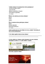 Referāts 'Lauku tūrisms, reklāmas specifika un izmantotie piesaistīšanas paņēmieni', 49.