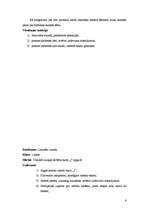 Prakses atskaite 'Aktīvā mācību un audzināšanas prakse', 6.