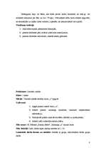 Prakses atskaite 'Aktīvā mācību un audzināšanas prakse', 8.