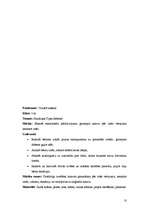 Prakses atskaite 'Aktīvā mācību un audzināšanas prakse', 10.