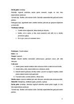 Prakses atskaite 'Aktīvā mācību un audzināšanas prakse', 11.