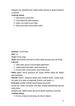 Prakses atskaite 'Aktīvā mācību un audzināšanas prakse', 12.