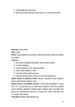 Prakses atskaite 'Aktīvā mācību un audzināšanas prakse', 13.