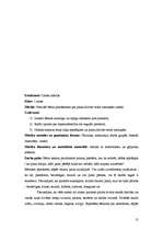 Prakses atskaite 'Aktīvā mācību un audzināšanas prakse', 15.