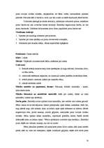 Prakses atskaite 'Aktīvā mācību un audzināšanas prakse', 16.