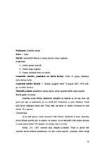 Prakses atskaite 'Aktīvā mācību un audzināšanas prakse', 22.