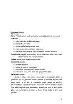 Prakses atskaite 'Aktīvā mācību un audzināšanas prakse', 24.