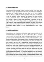 Referāts 'Sienu un griestu apgleznojums: no viduslaikiem līdz mūsdienām', 13.