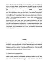 Referāts 'Sienu un griestu apgleznojums: no viduslaikiem līdz mūsdienām', 17.