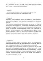 Referāts 'Sienu un griestu apgleznojums: no viduslaikiem līdz mūsdienām', 23.