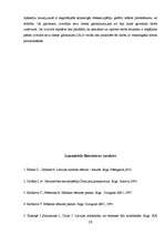 Referāts 'Sienu un griestu apgleznojums: no viduslaikiem līdz mūsdienām', 25.