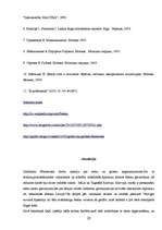 Referāts 'Sienu un griestu apgleznojums: no viduslaikiem līdz mūsdienām', 26.
