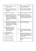 Konspekts 'Sporta stundas konspekts 11.klasei basketbolā', 5.