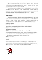 Referāts 'Panku subkultūra', 2.