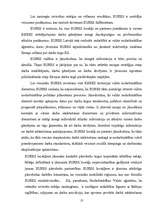 Referāts 'EURES loma darbinieku kustības veicināšanā Eiropas Savienībā', 13.