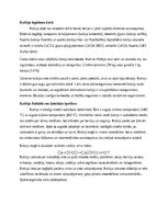 Konspekts 'Kalcija raksturojums', 2.