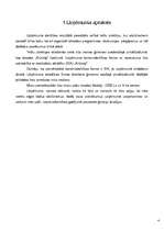 Biznesa plāns 'SIA "Krūmaļi"', 4.