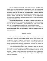 Referāts 'Sintoisms', 3.