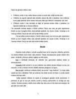 Referāts 'Sintoisms', 5.