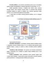 Diplomdarbs 'Personāla meklēšanas un atlases procesa pilnveidošana iestādē „X”', 19.